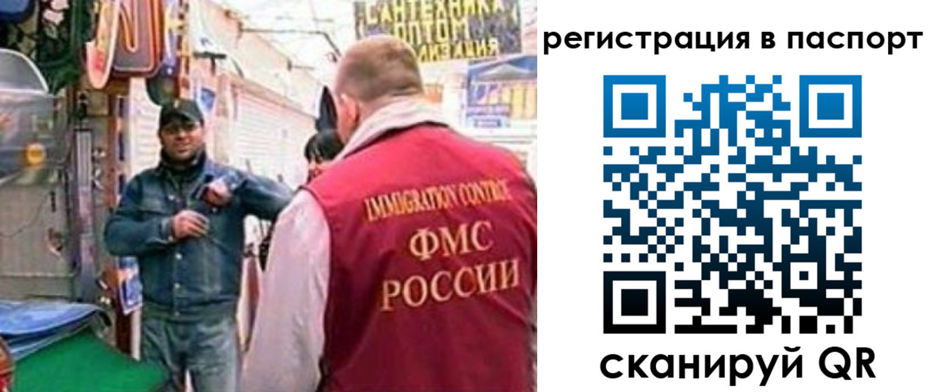 прописка поиск в Тольятти